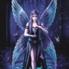 Bluebird Puzzle Fantasy|1000-1499<Enchantment - puzzel van 1000 stukjes