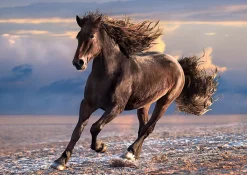 Clementoni Dieren|1000-1499<Wild Paard - puzzel van 1000 stukjes