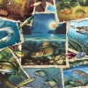 Cobble Hill Dieren|1000-1499<Allemaal vissen - puzzel van 1000 stukjes