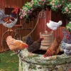 Cobble Hill Tekening|Dieren<De kippen doen het goed - puzzel van 275 XXL stukjes