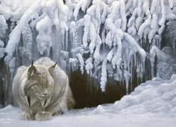 Cobble Hill Dieren|Landschappen<Dommelende Lynx - puzzel van 1000 stukjes