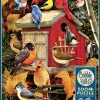 Cobble Hill Tekening|Dieren<Herfst Vogelhuisje - puzzel van 500 XL stukjes