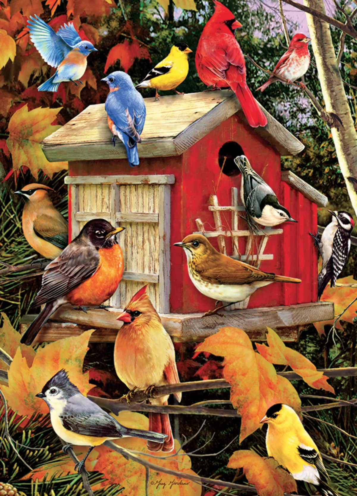 Cobble Hill Tekening|Dieren<Herfst Vogelhuisje - puzzel van 500 XL stukjes