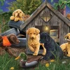 Cobble Hill Dieren|Landschappen<In het Hondenhok - puzzel van 1000 stukjes