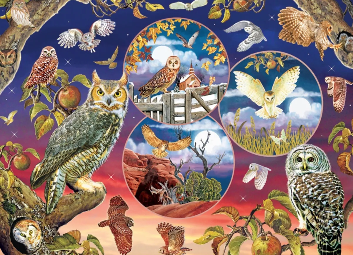 Cobble Hill Dieren|1000-1499<Magische uilen - puzzel van 1000 stukjes