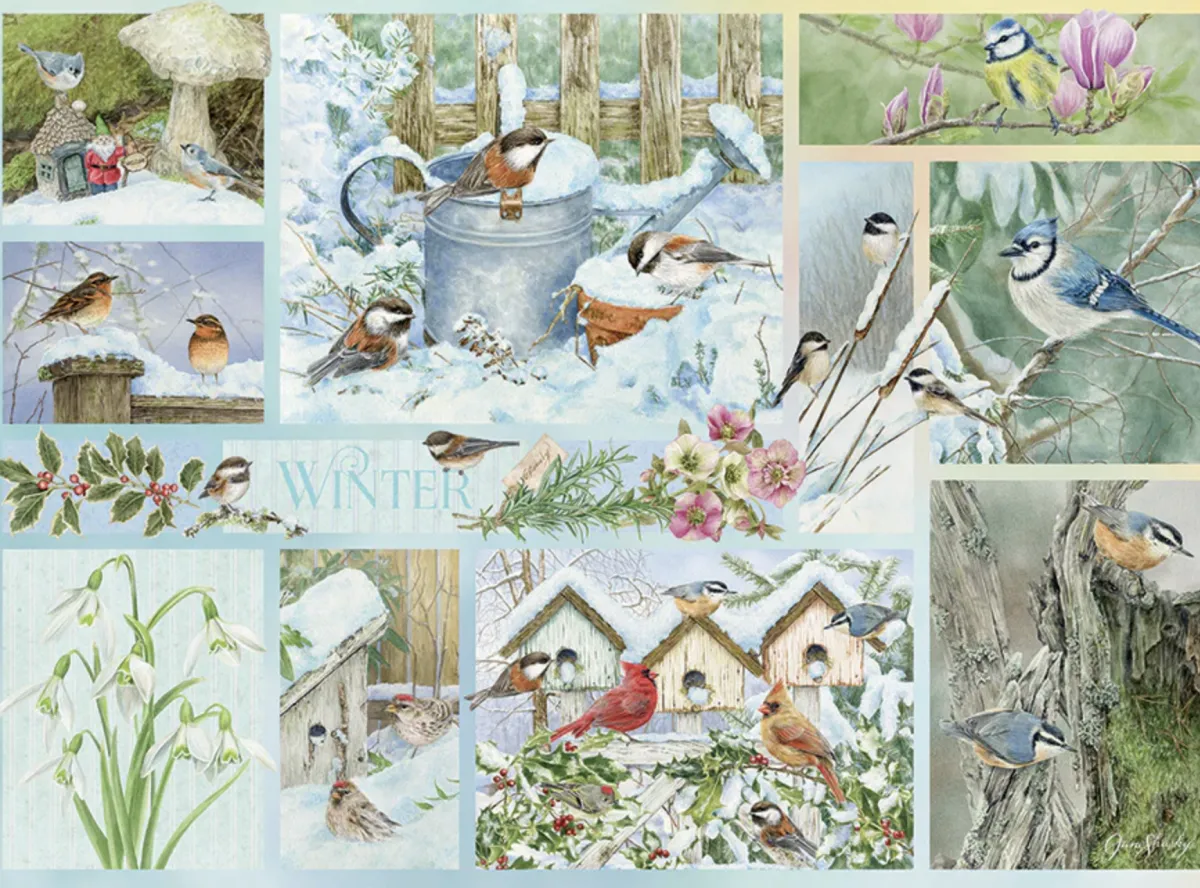 Cobble Hill Tekening|Dieren<Tuinvogels in de Winter - puzzel van 500 XL stukjes