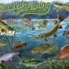 Cobble Hill Dieren|1000-1499<Verslingerd aan vissen - puzzel van 1000 stukjes