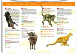 Kinderen Djeco Puzzel + Extra Item|Dieren<Dinosaurussen - puzzel van 100 stukjes