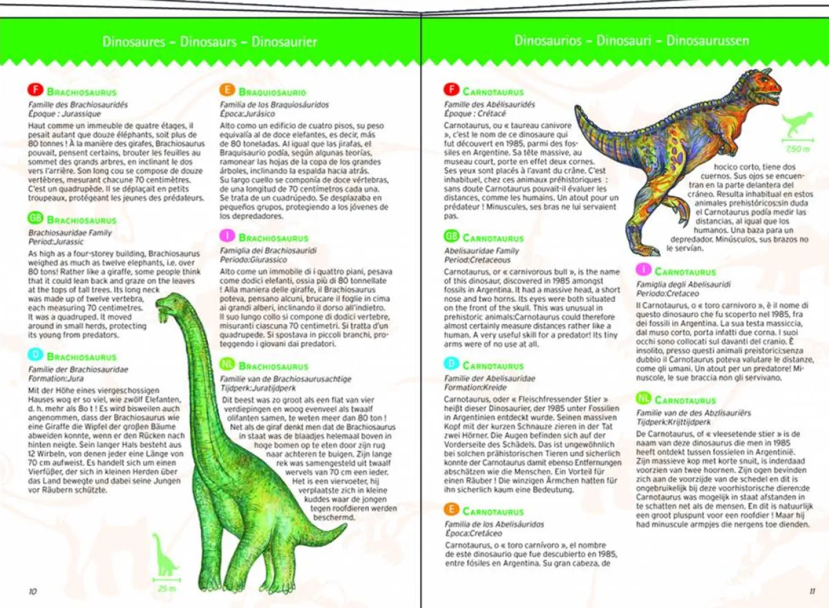 Kinderen Djeco Puzzel + Extra Item|Dieren<Dinosaurussen - puzzel van 100 stukjes