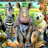 Kinderen Educa Dieren|Legpuzzels<De klasfoto - puzzel van 300 stukjes