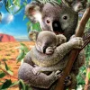 Kinderen Educa Dieren|Legpuzzels<De Koala en zijn kleintje - legpuzzel van 500 stukjes