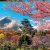 Educa Landschappen|Steden En Gebouwen<Kasteel van Osaka - puzzel van 2000 stukjes