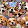 Educa Dieren|1000-1499<Puppies Selfie, Howard Robinson - puzzel 1000 stukjes