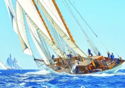Educa Landschappen|1000-1499<Zeilboot op zee - puzzel 1000 stukjes