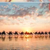 Educa Dieren|Landschappen<Zonsondergang in Australië - puzzel 1000 stukjes