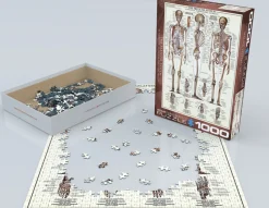 Eurographics Puzzles Kunst En Cultuur|1000-1499<Het skeletsysteem - puzzel van 1000 stukjes