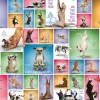 Eurographics Puzzles Dieren|1000-1499<Yoga Dogs - Collage - puzzel van 1000 stukjes