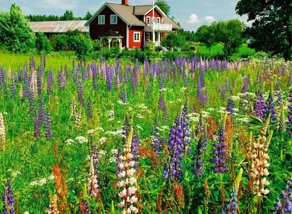 Kinderen Ravensburger Landschappen|Steden En Gebouwen<Boerderij in Zweden - puzzel van 500 stukjes