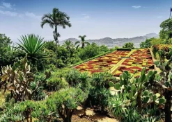 Ravensburger Tekening|1000-1499<Botanische Tuinen - Madeira - puzzel van 1000 stukjes
