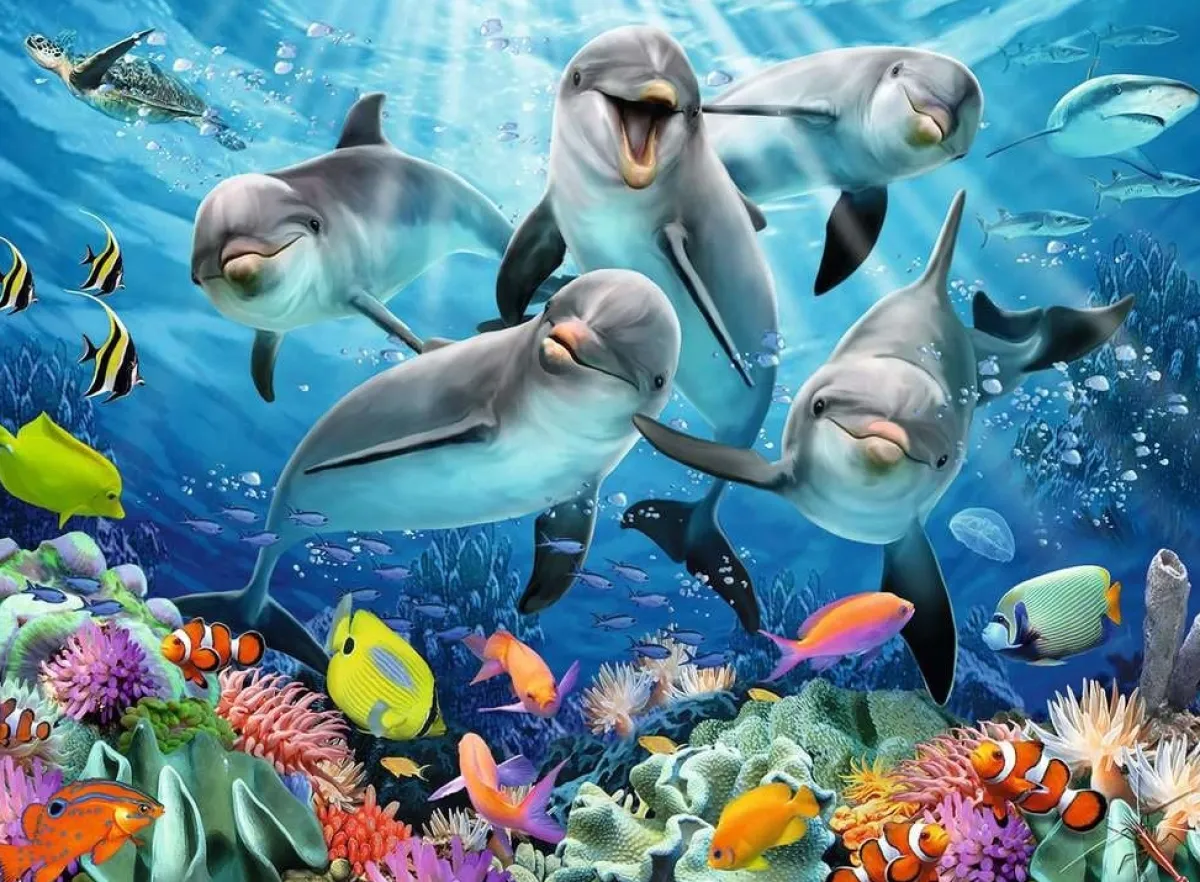 Ravensburger Dieren|500-999<Dolfijnen in het koraalrif - puzzle van 500 stukjes