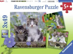 Kinderen Ravensburger Dieren|Legpuzzels<Tijger katjes - 3 puzzels van 49 stukjes