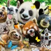 Kinderen Ravensburger Dieren|Legpuzzels<Wildlife selfie - 300 stukjes