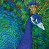 SUNSOUT Dieren|1000-1499<De pauw - legpuzzel van 1000 stukjes