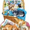 SUNSOUT Speciale Vorm|Dieren<Gratis kittens - legpuzzel van 1000 stukjes