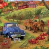 SUNSOUT Dieren|500-999<Pluk je eigen appels - legpuzzel van 500 XXL stukjes