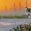 SUNSOUT Panorama|Dieren<Winter Sunrise - legpuzzel van 500 XXL stukjes